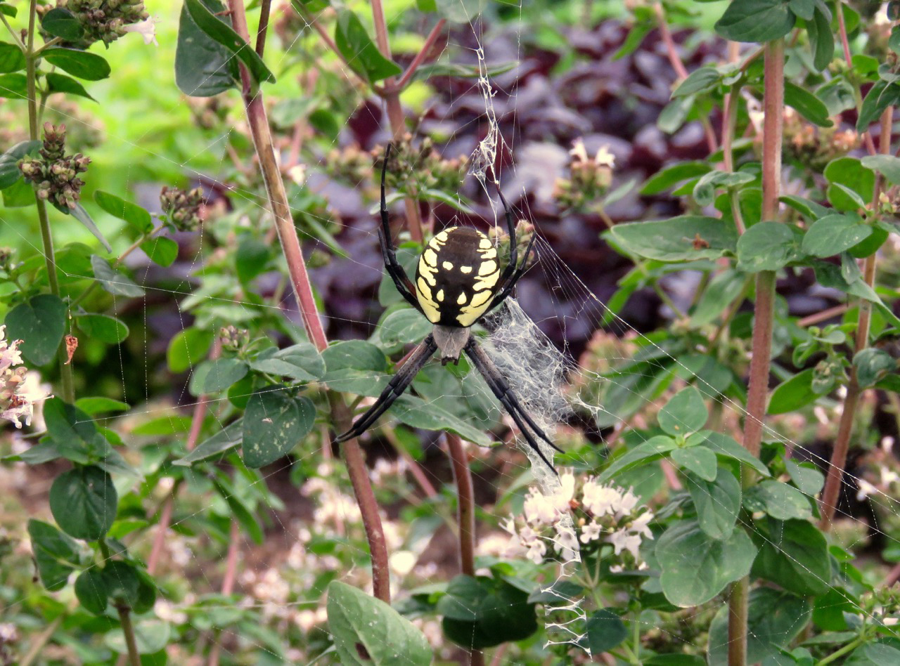 Greetings from Grandma!